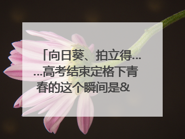 向日葵、拍立得……高考结束定格下青春的这个瞬间是& 8594;｜2025四川高考