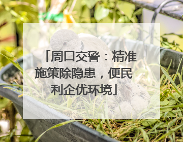周口交警：精准施策除隐患，便民利企优环境