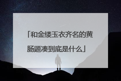 和金缕玉衣齐名的黄肠题凑到底是什么