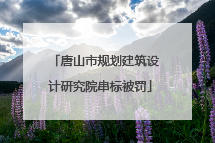 唐山市规划建筑设计研究院串标被罚