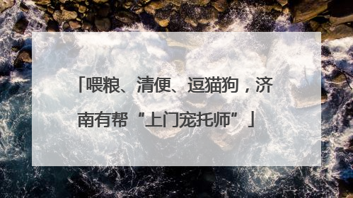 喂粮、清便、逗猫狗，济南有帮“上门宠托师”