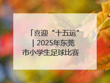 喜迎“十五运”｜2025年东莞市小学生足球比赛圆满收官