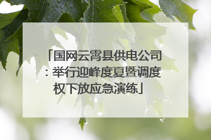 国网云霄县供电公司：举行迎峰度夏暨调度权下放应急演练
