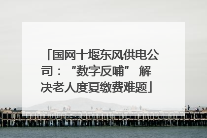 国网十堰东风供电公司：“数字反哺” 解决老人度夏缴费难题