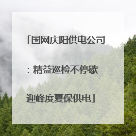 国网庆阳供电公司：精益巡检不停歇 迎峰度夏保供电