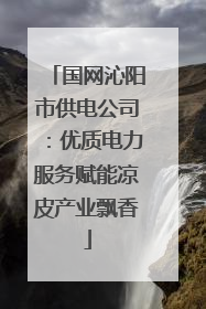 国网沁阳市供电公司：优质电力服务赋能凉皮产业飘香