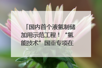 国内首个液氢制储加用示范工程！“氢能技术”国重专项在四川南充启动｜打赢经济发展翻身仗