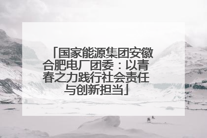 国家能源集团安徽合肥电厂团委：以青春之力践行社会责任与创新担当
