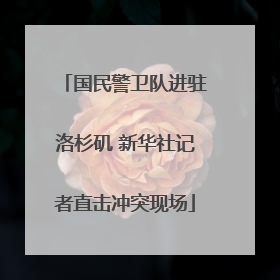 国民警卫队进驻洛杉矶 新华社记者直击冲突现场