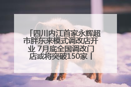 四川内江首家永辉超市胖东来模式调改店开业 7月底全国调改门店或将突破150家丨新经济观察