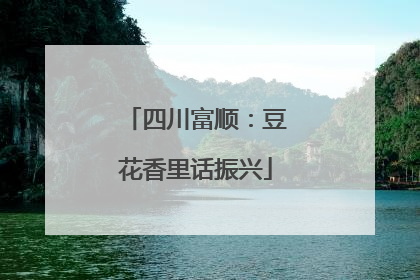 四川富顺：豆花香里话振兴