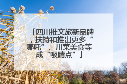 四川推文旅新品牌，扶持和推出更多“哪吒”、川菜美食等成“吸睛点”
