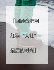 回顾合肥网红猴“大壮”最后的时光