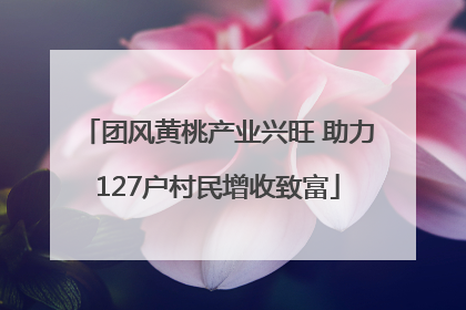 团风黄桃产业兴旺 助力127户村民增收致富