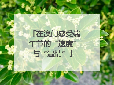 在澳门感受端午节的“速度”与“温情”