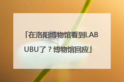 在洛阳博物馆看到LABUBU了？博物馆回应