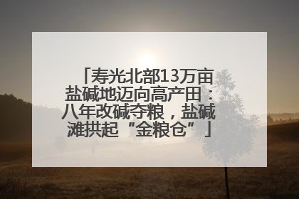 寿光北部13万亩盐碱地迈向高产田：八年改碱夺粮，盐碱滩拱起“金粮仓”