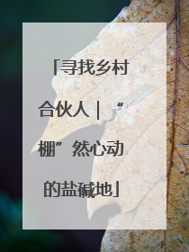 寻找乡村合伙人｜“棚”然心动的盐碱地