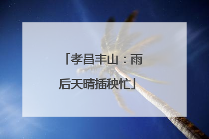 孝昌丰山：雨后天晴插秧忙
