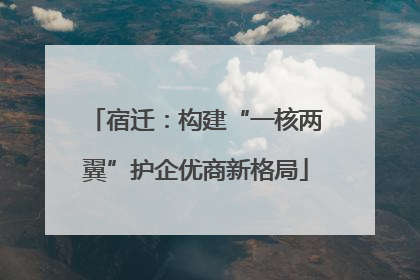 宿迁：构建“一核两翼”护企优商新格局