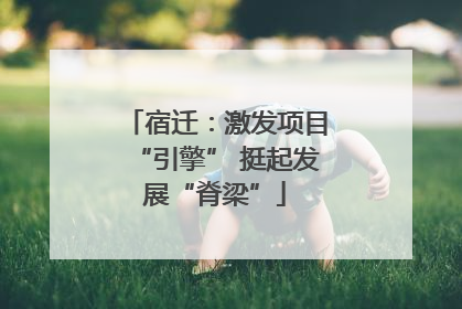 宿迁：激发项目“引擎” 挺起发展“脊梁”