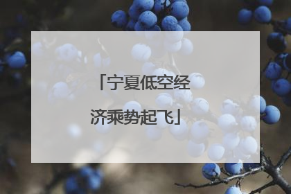 宁夏低空经济乘势起飞