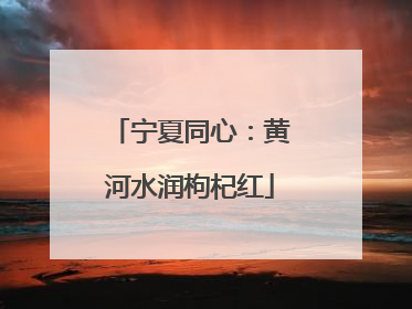 宁夏同心：黄河水润枸杞红