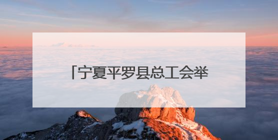 宁夏平罗县总工会举办插秧“大比武”