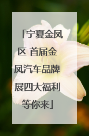 宁夏金凤区 首届金凤汽车品牌展四大福利等你来