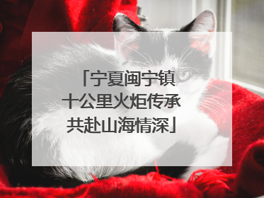 宁夏闽宁镇 十公里火炬传承共赴山海情深