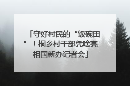 守好村民的“饭碗田”！桐乡村干部凭啥亮相国新办记者会