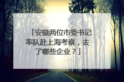 安徽两位市委书记率队赴上海考察，去了哪些企业？