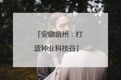 安徽宿州：打造种业科技谷