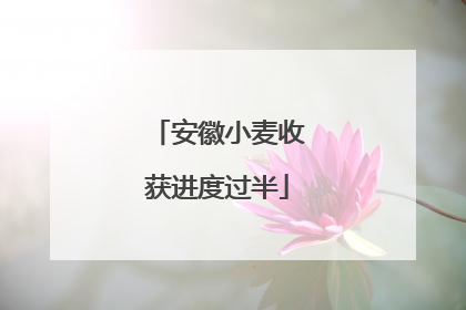 安徽小麦收获进度过半