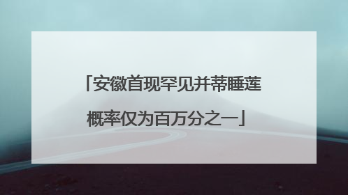 安徽首现罕见并蒂睡莲 概率仅为百万分之一