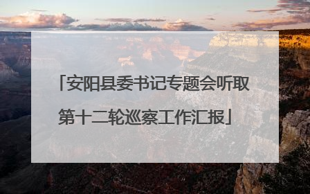 安阳县委书记专题会听取第十二轮巡察工作汇报