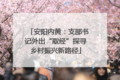 安阳内黄：支部书记外出“取经”探寻乡村振兴新路径