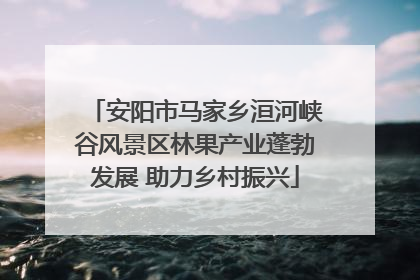 安阳市马家乡洹河峡谷风景区林果产业蓬勃发展 助力乡村振兴