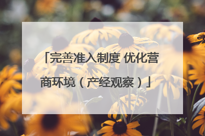 完善准入制度 优化营商环境（产经观察）