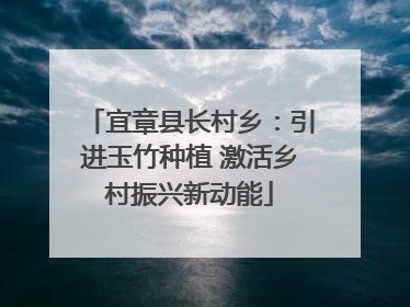 宜章县长村乡：引进玉竹种植 激活乡村振兴新动能