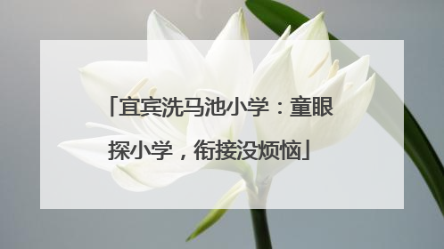宜宾洗马池小学：童眼探小学，衔接没烦恼