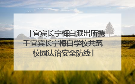 宜宾长宁梅白派出所携手宜宾长宁梅白学校共筑校园法治安全防线