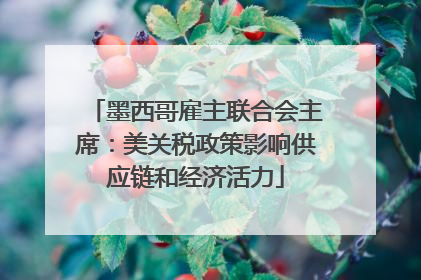 墨西哥雇主联合会主席：美关税政策影响供应链和经济活力