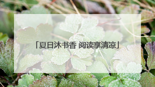夏日沐书香 阅读享清凉