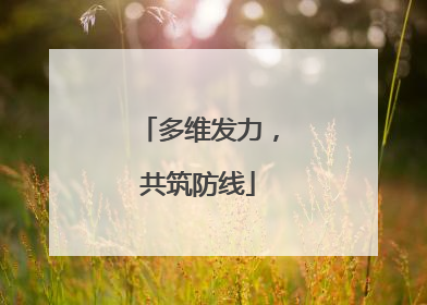 多维发力，共筑防线