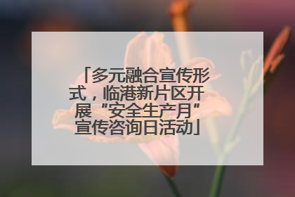 多元融合宣传形式，临港新片区开展“安全生产月”宣传咨询日活动