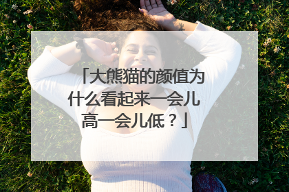 大熊猫的颜值为什么看起来一会儿高一会儿低？