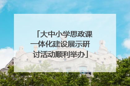大中小学思政课一体化建设展示研讨活动顺利举办