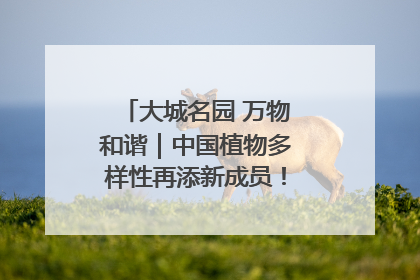 大城名园 万物和谐｜中国植物多样性再添新成员！它只在西藏墨脱