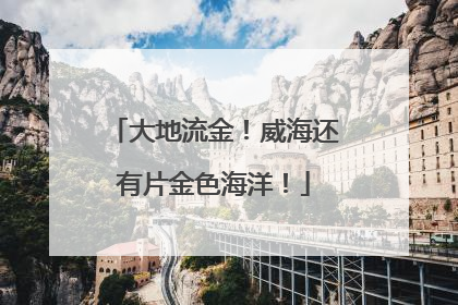 大地流金！威海还有片金色海洋！
